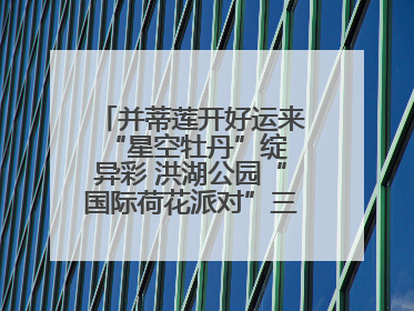 并蒂莲开好运来 “星空牡丹”绽异彩 洪湖公园“国际荷花派对”三天迎客六万