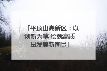 平顶山高新区：以创新为笔 绘就高质量发展新图景