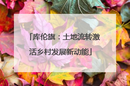 库伦旗：土地流转激活乡村发展新动能