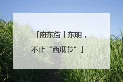 府东街丨东明，不止“西瓜节”