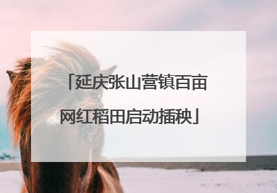 延庆张山营镇百亩网红稻田启动插秧