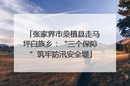 张家界市桑植县走马坪白族乡：“三个保障”筑牢防汛安全堤