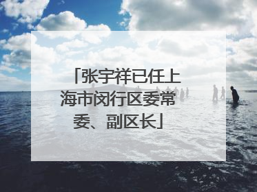 张宇祥已任上海市闵行区委常委、副区长