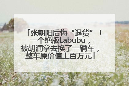 张朝阳后悔“退货”！一个绝版Labubu，被胡润拿去换了一辆车，整车原价值上百万元