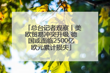 总台记者观察丨美欧贸易冲突升级 德国或面临2500亿欧元累计损失