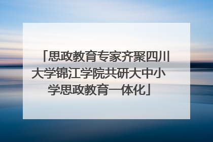 思政教育专家齐聚四川大学锦江学院共研大中小学思政教育一体化
