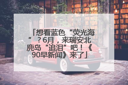 想看蓝色“荧光海”？6月，来瑞安北麂岛“追泪”吧！《90早新闻》来了