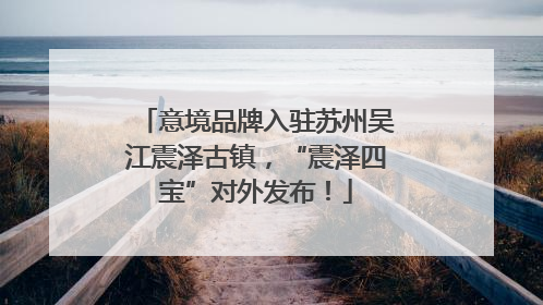 意境品牌入驻苏州吴江震泽古镇，“震泽四宝”对外发布！