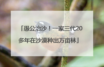 愚公治沙！一家三代20多年在沙漠种出万亩林