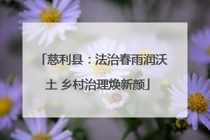 慈利县：法治春雨润沃土 乡村治理焕新颜