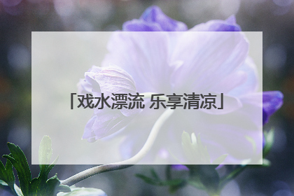 戏水漂流 乐享清凉