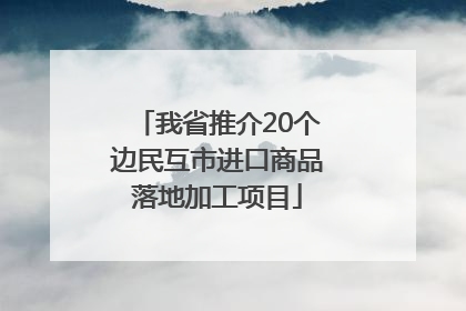 我省推介20个边民互市进口商品落地加工项目