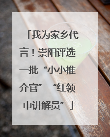 我为家乡代言！崇阳评选一批“小小推介官”“红领巾讲解员”