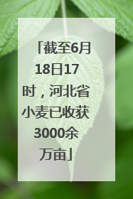 截至6月18日17时，河北省小麦已收获3000余万亩