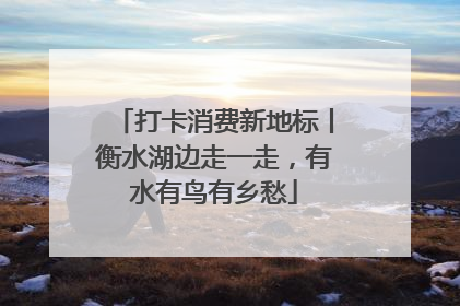 打卡消费新地标丨衡水湖边走一走，有水有鸟有乡愁
