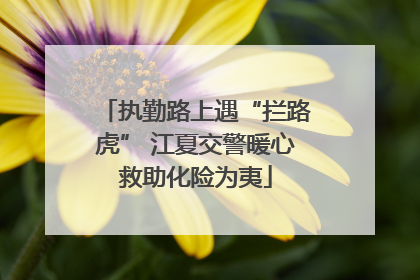 执勤路上遇“拦路虎” 江夏交警暖心救助化险为夷