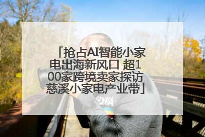 抢占AI智能小家电出海新风口 超100家跨境卖家探访慈溪小家电产业带