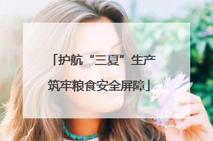 护航“三夏”生产 筑牢粮食安全屏障