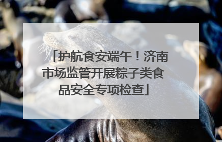 护航食安端午！济南市场监管开展粽子类食品安全专项检查