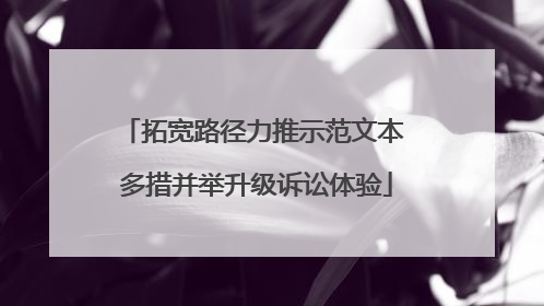 拓宽路径力推示范文本 多措并举升级诉讼体验