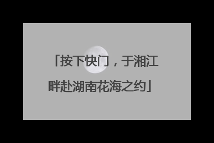 按下快门，于湘江畔赴湖南花海之约