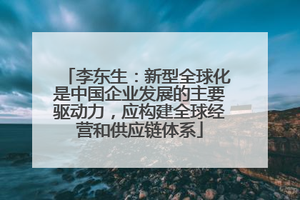 李东生：新型全球化是中国企业发展的主要驱动力，应构建全球经营和供应链体系
