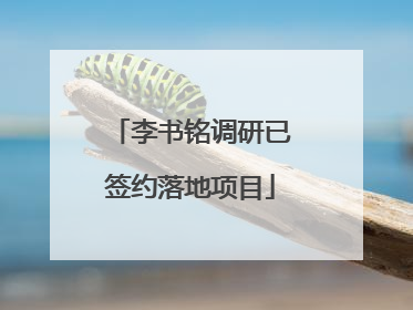 李书铭调研已签约落地项目