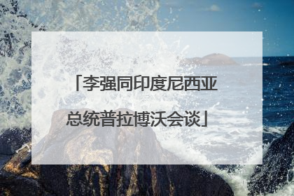 李强同印度尼西亚总统普拉博沃会谈