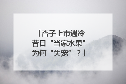 杏子上市遇冷 昔日“当家水果”为何“失宠”？