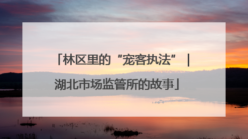 林区里的“宠客执法”｜湖北市场监管所的故事