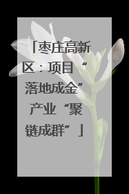枣庄高新区：项目“落地成金” 产业“聚链成群”