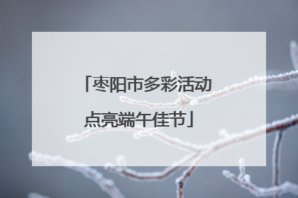 枣阳市多彩活动点亮端午佳节
