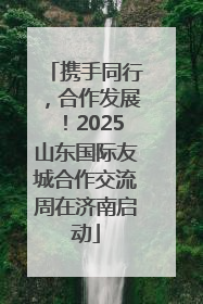 携手同行，合作发展！2025山东国际友城合作交流周在济南启动