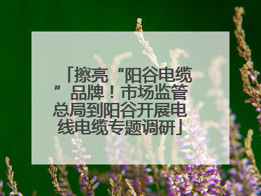 擦亮“阳谷电缆”品牌！市场监管总局到阳谷开展电线电缆专题调研