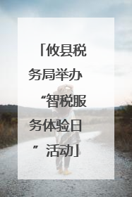攸县税务局举办“智税服务体验日”活动