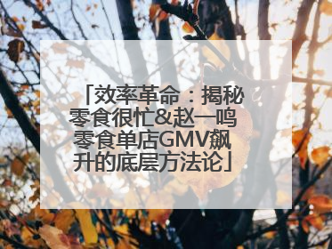 效率革命：揭秘零食很忙&赵一鸣零食单店GMV飙升的底层方法论