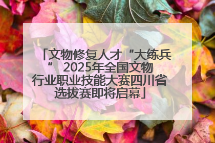 文物修复人才“大练兵” 2025年全国文物行业职业技能大赛四川省选拔赛即将启幕