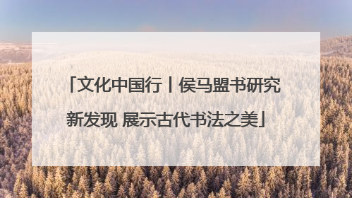 文化中国行丨侯马盟书研究新发现 展示古代书法之美