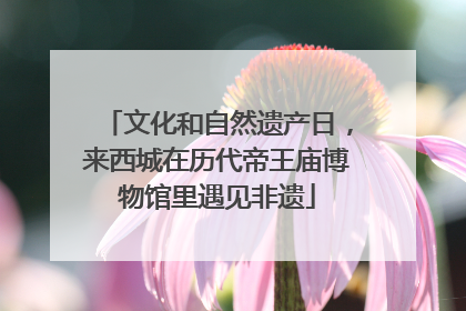 文化和自然遗产日，来西城在历代帝王庙博物馆里遇见非遗