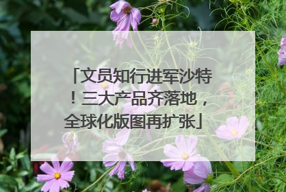 文员知行进军沙特！三大产品齐落地，全球化版图再扩张