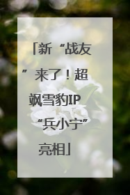 新“战友”来了！超飒雪豹IP“兵小宁”亮相