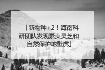 新物种+2！海南科研团队发现素贞灵芝和自然保护地壁虎