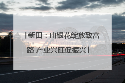 新田：山银花绽放致富路 产业兴旺促振兴