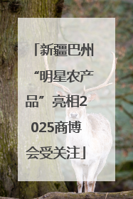 新疆巴州“明星农产品”亮相2025商博会受关注