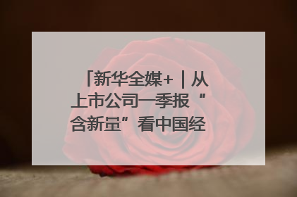 新华全媒+｜从上市公司一季报“含新量”看中国经济发展向“新”