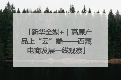 新华全媒+｜高原产品上“云”端——西藏电商发展一线观察