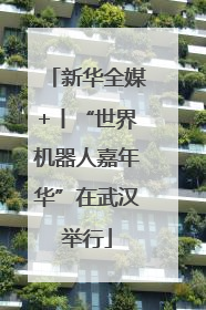 新华全媒+丨“世界机器人嘉年华”在武汉举行