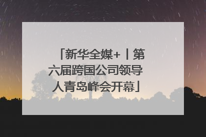 新华全媒+丨第六届跨国公司领导人青岛峰会开幕