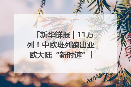 新华鲜报｜11万列！中欧班列跑出亚欧大陆“新时速”