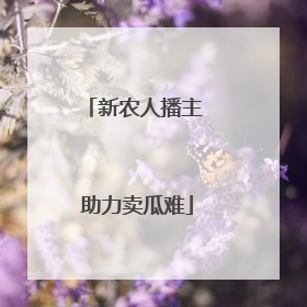 新农人播主 助力卖瓜难
